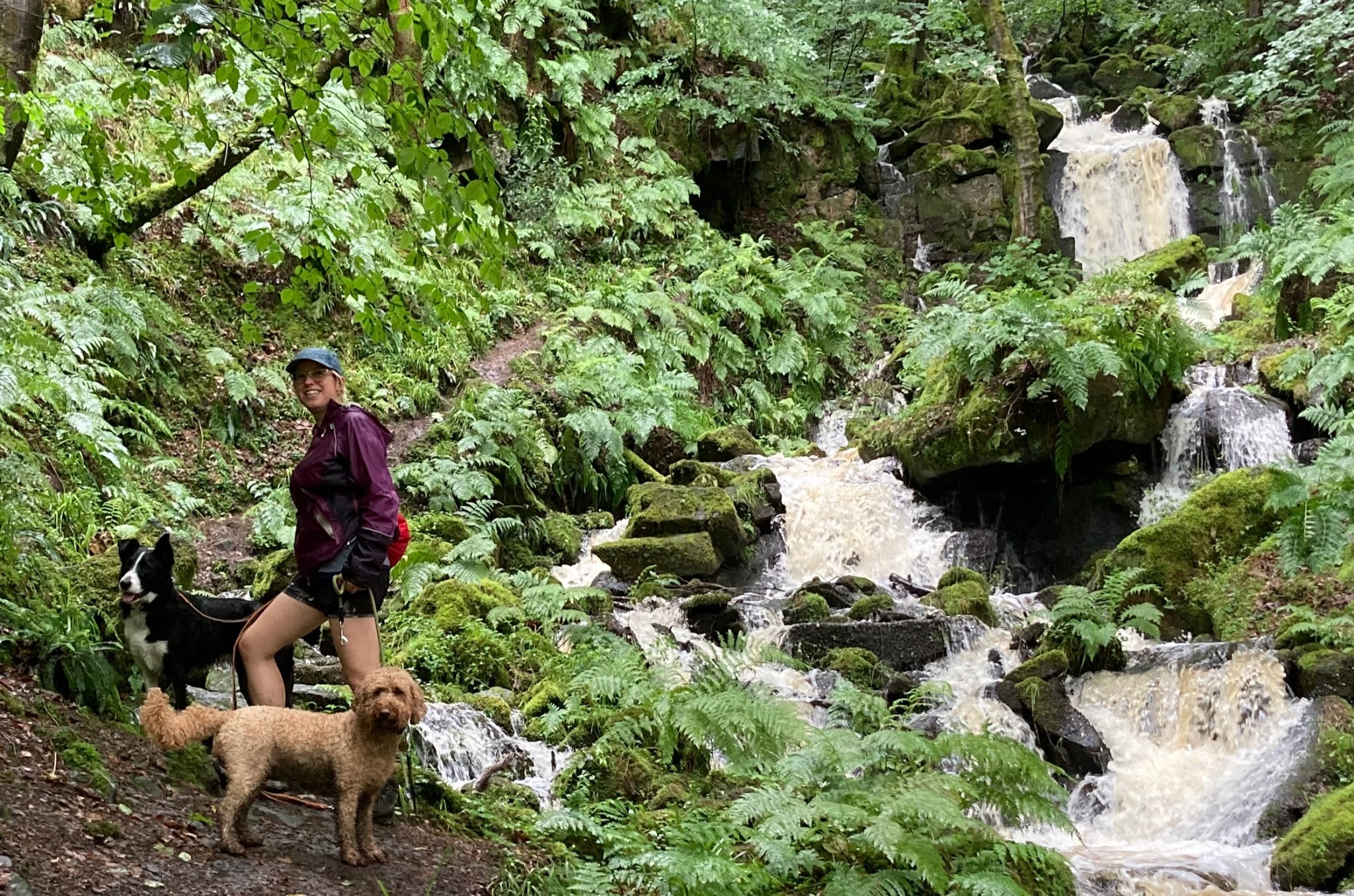 Charlotte with two dogs beside a woodland waterfall